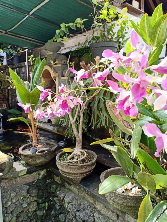 Degeg Ubud Homestay エクステリア 写真